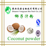 Natural fruit juice Coconut Powder Coconut Milk Powder