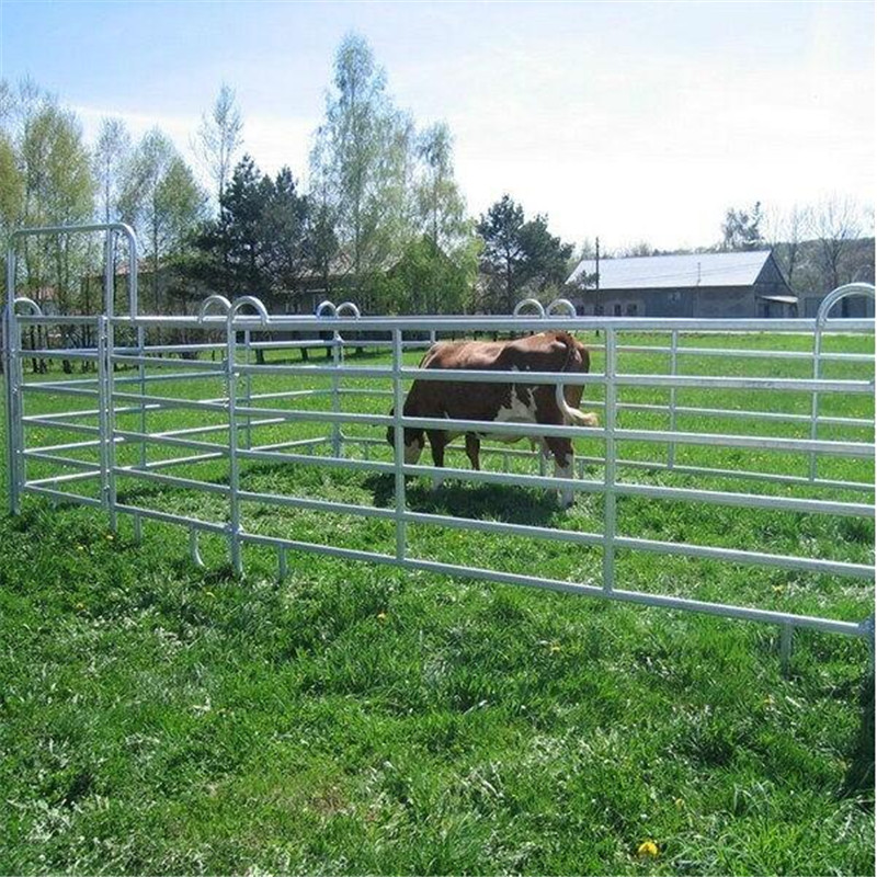 Top Cheap High Quanlity Galvanized Powder Coated Heavy Duty 6 Rails Used Metal Cattle Livestock Corral Panel for Canada
