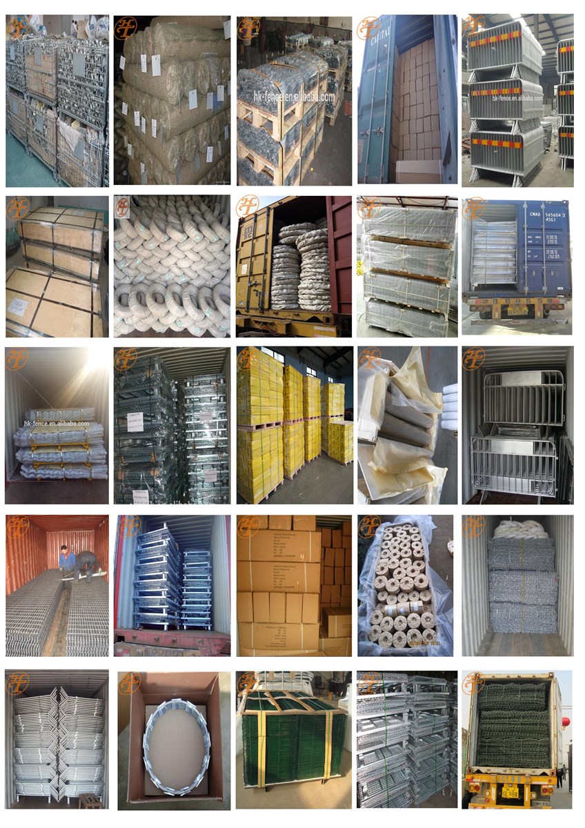 Top Cheap High Quanlity Galvanized Powder Coated Heavy Duty 6 Rails Used Metal Cattle Livestock Corral Panel for Canada
