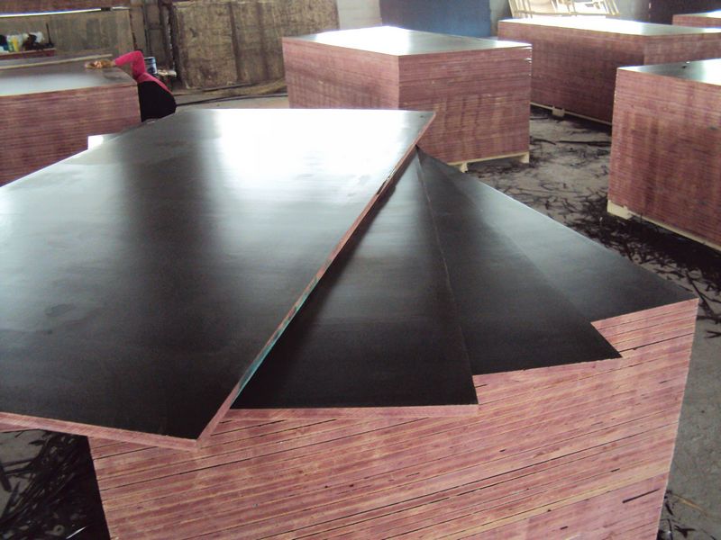 1220x2440x18mm Brown Film faced plywood China manufacturewholesale plywood panel shuttering concrete form