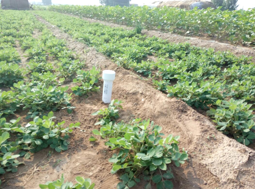 QY800s White tubular Soil Moisture Meter