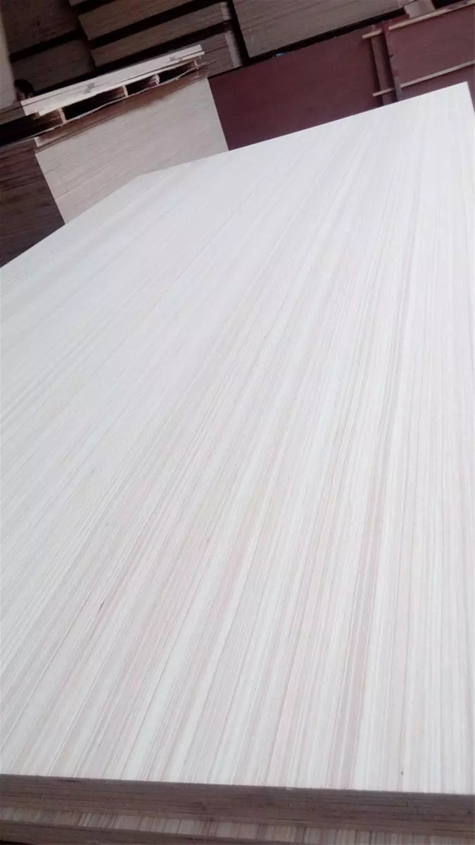 EV engineered veneer FB Furniture plywoodEV Poplar plywood