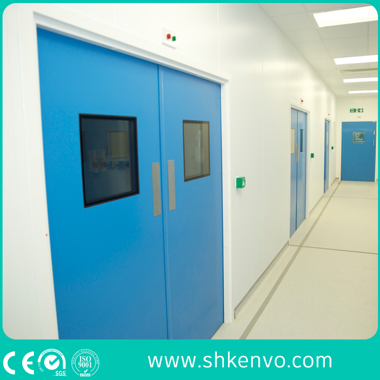 Steel Swinging Clean Room Doors for Food or Pharmaceutical Industries