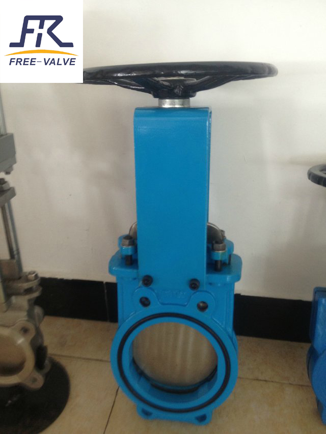 gate valve