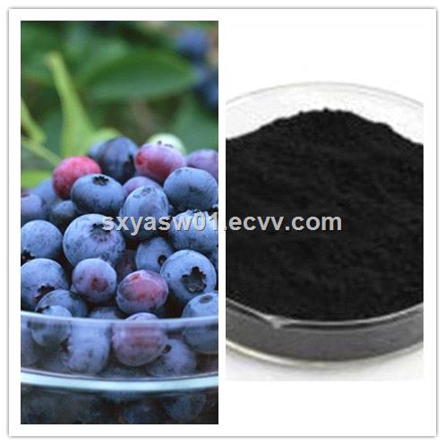 Natural 25 Anthocyanidins Bilberry Extract