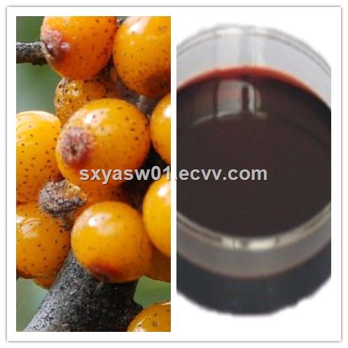 Natural Seabuckthorn Berry Oil Seabuckthorn Seed Oil