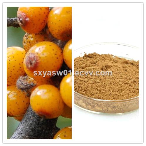 natural high quality Seabuckthorn Juice Powder with high nutrition