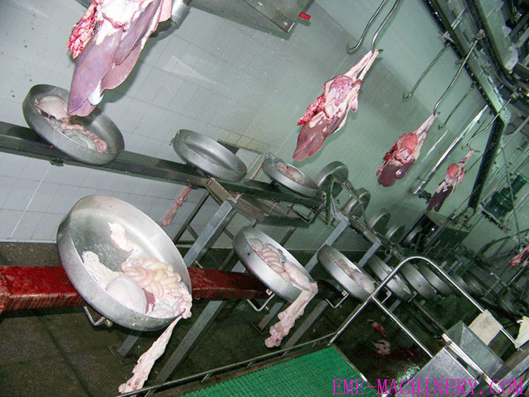 Pig Viscera Conveying Machine For Hog Abattoir