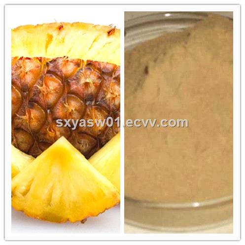 natural improve the immunity Pineapple Juice Powder