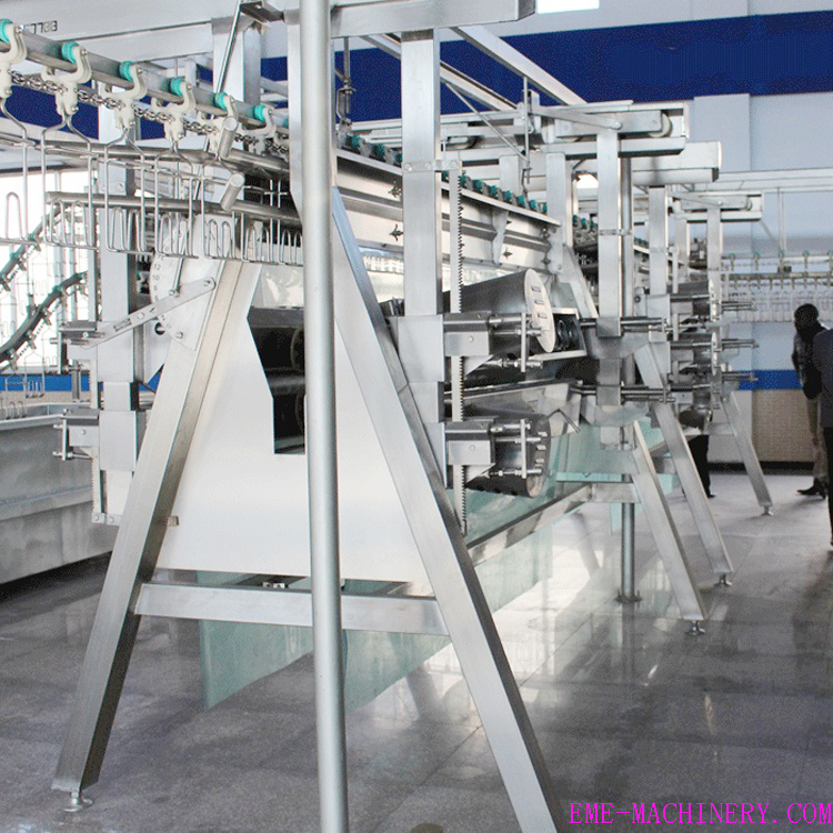 A Type Poultry Plucking Machine poultry livestock abattoir