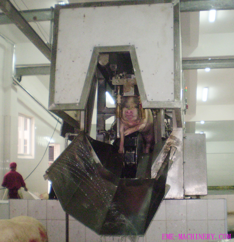Tualpoint numbing stnned machine slaughter house equipments