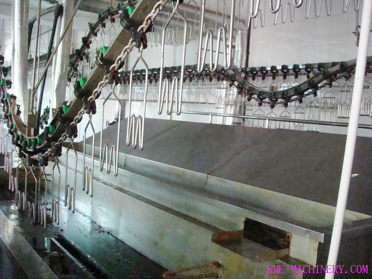 Poultry Scalding And Plucking Combination Machine halal meat processing