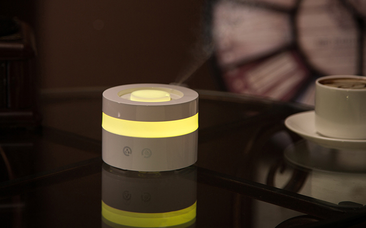 Promotional Ultrasonic Portable Humidifier Mini USB Essential Oil Diffuser 100ml