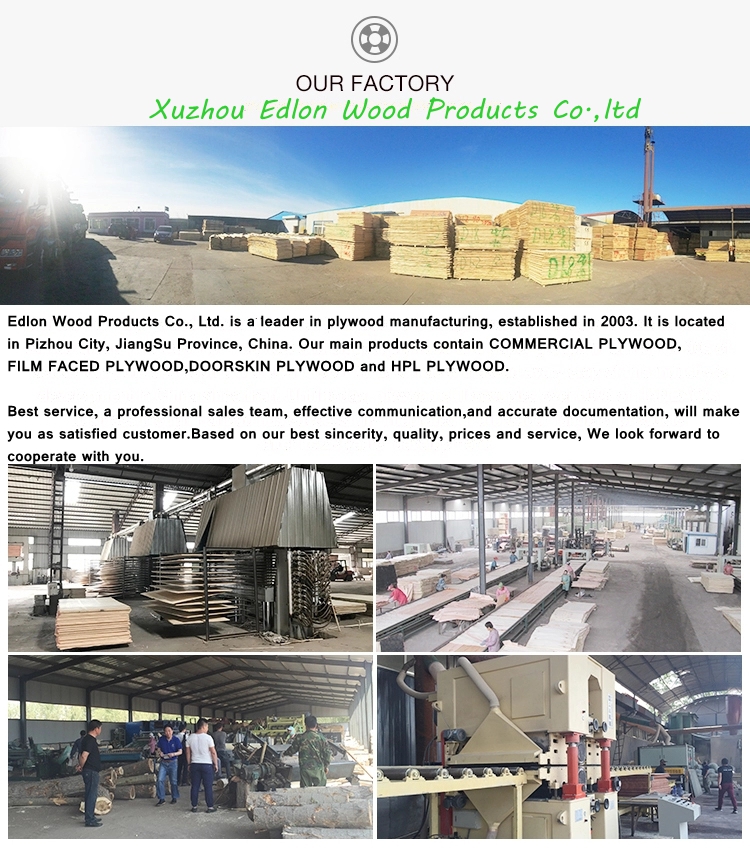 1220x2440x18mm Brown Film Faced Plywood China Manufacture Wholesale Plywood Panel Shuttering Concrete Form
