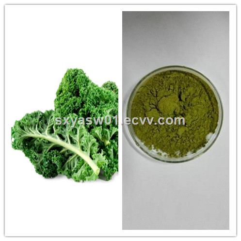 natural rich in minerals Kale juice Powder