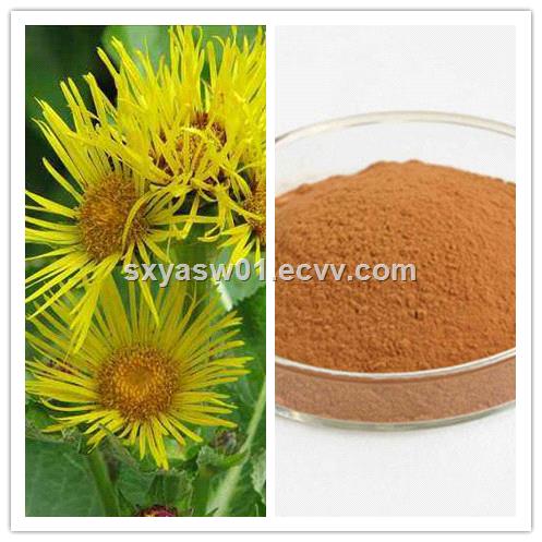 natural 101 201 Inula Helenium Elecampane Extract