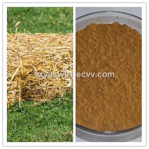 natural 101 201 Oat Straw Extract