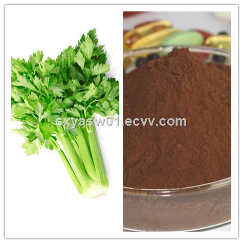 natural 101 201 Parsley Extract