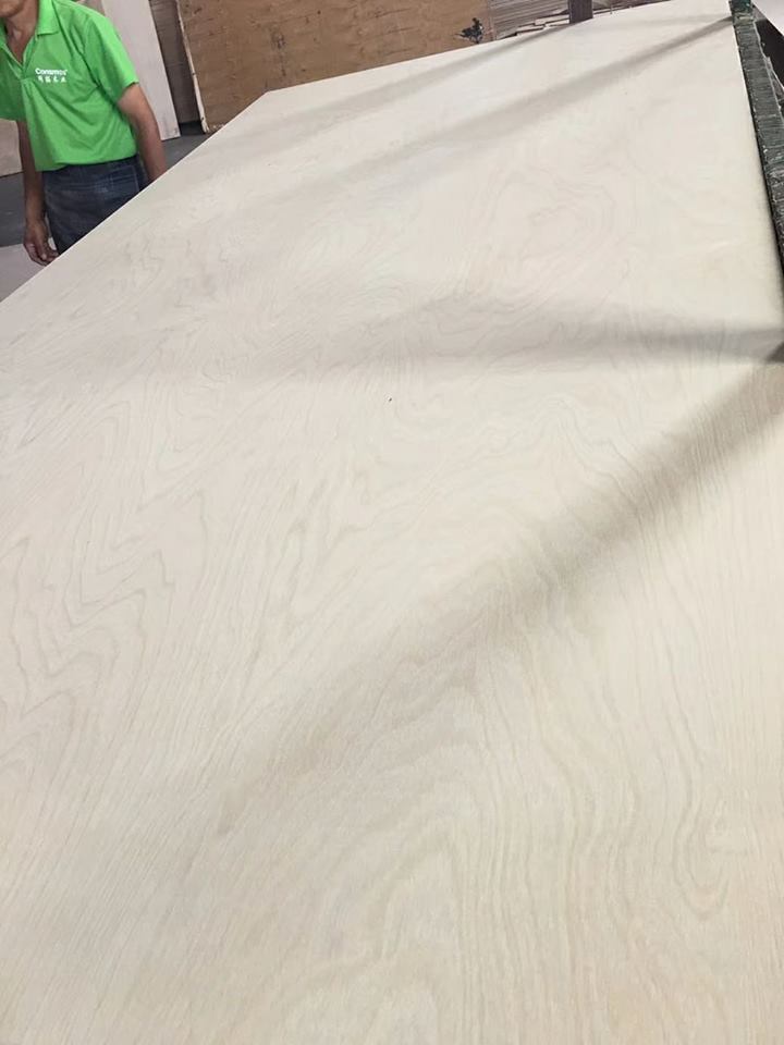 4x8 White Russia Birch Plywood Funiture Plywood BBBB BBCP CPCP