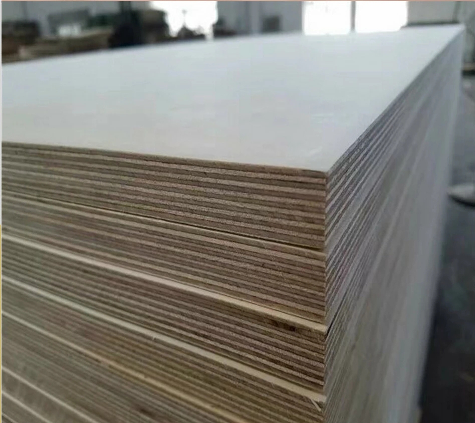 4x8 White Russia Birch Plywood Funiture Plywood BBBB BBCP CPCP