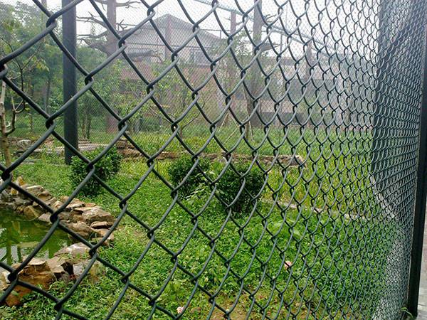 PVC Coated Galvanized Chain Link Fence