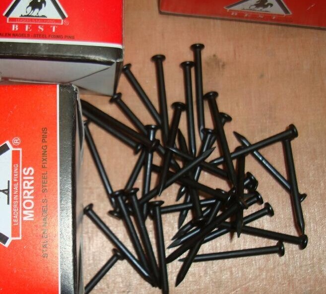 Best Price Glvanized Nails Common Nail