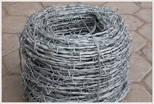 PVC Coated / Galvanized Barbed Wire Fence Mesh