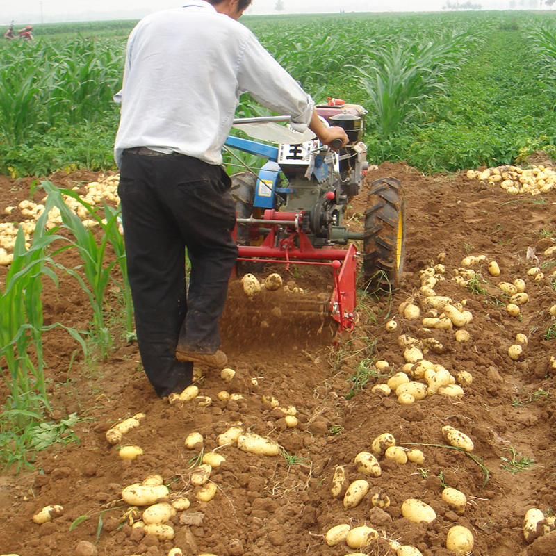 mini Potato digger walking tractor with potato harvester 4U 600A