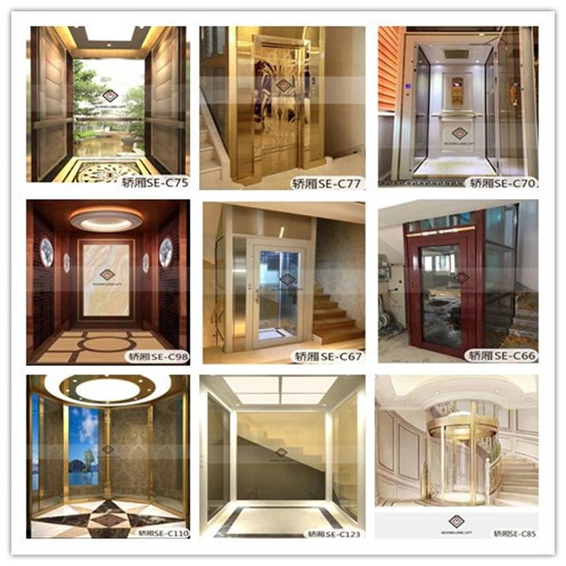 Factory Directly Sale Elegant Home Elevator Villa lift with machine roomless