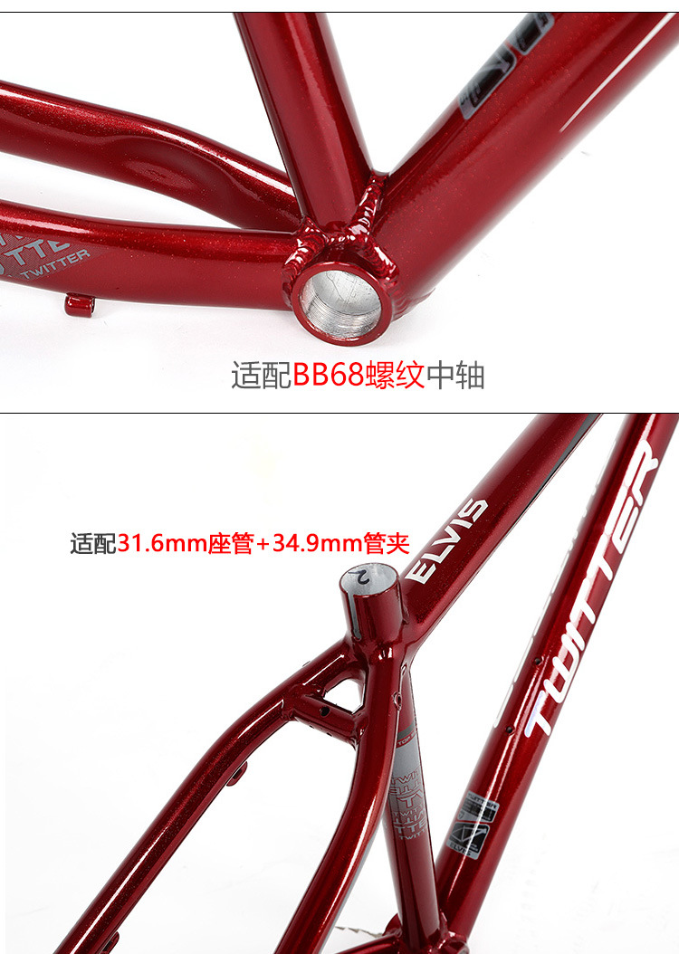 China Professional Bike factory wholesale TWITTER ELVIS 27529 bike frame aluminium alloy AL7005 155 17 19