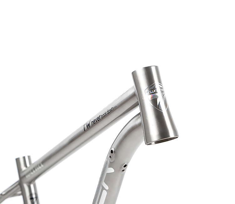 Direct Bicycle parts Supplier in China TWITTER WERNER 275 29 Titanium alloy mountain bike frame 155 17 19