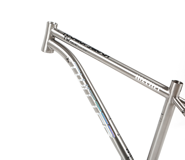 Direct Bicycle parts Supplier in China TWITTER WERNER 275 29 Titanium alloy mountain bike frame 155 17 19