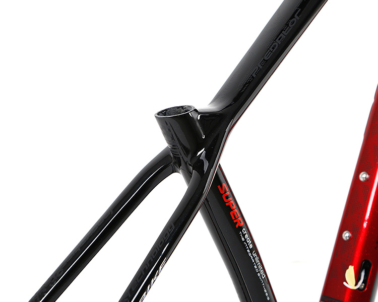 Chinese Bicycle Supplier TWITTER 27529 Carbon T1000 racing mountain bike frame PREDATOR cutting color bike parts