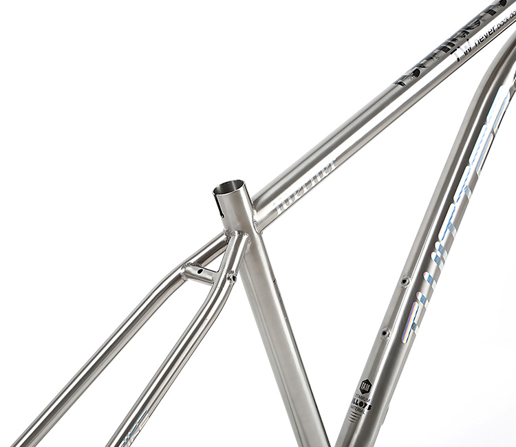 Direct Bicycle parts Supplier in China TWITTER WERNER 275 29 Titanium alloy mountain bike frame 155 17 19