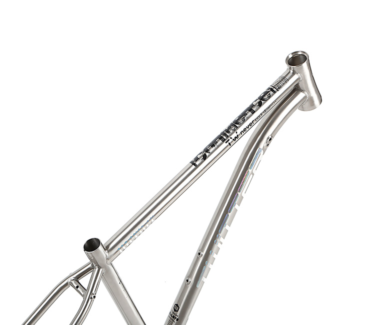 Direct Bicycle parts Supplier in China TWITTER WERNER 275 29 Titanium alloy mountain bike frame 155 17 19