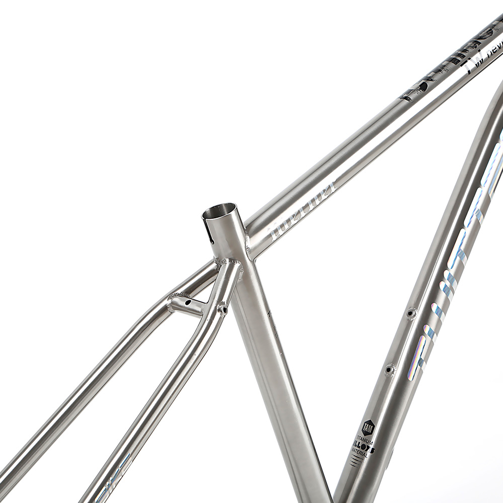 Direct Bicycle parts Supplier in China TWITTER WERNER 275 29 Titanium alloy mountain bike frame 155 17 19