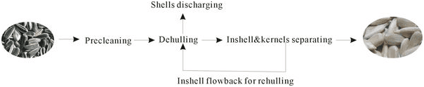 Advanced sunflower seeds shelling machineQiaopai