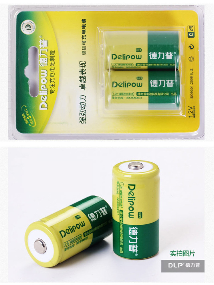Delipow 2000mAh Type C Rechargeable Battery for Flashlight and Radio 1Pcs LR14AM2 Rechargeable Batteries