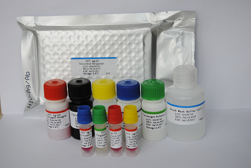 Folate EnzymeLinked Immunosorbent AssayELISA Kit