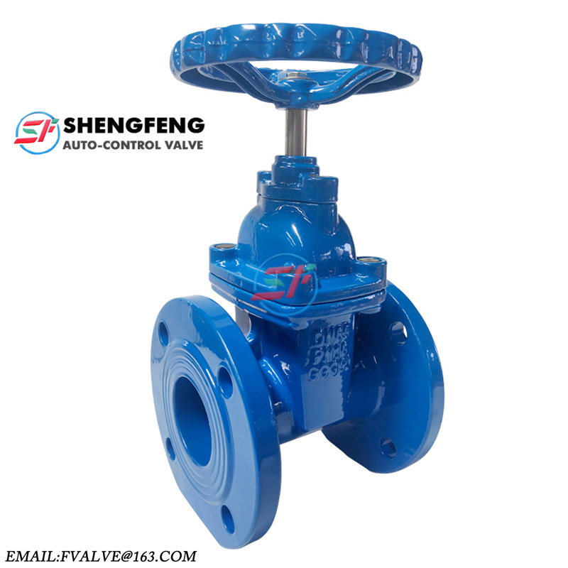 DIN3202 F4 cast iron resilient seated gate valve DN50 DN100