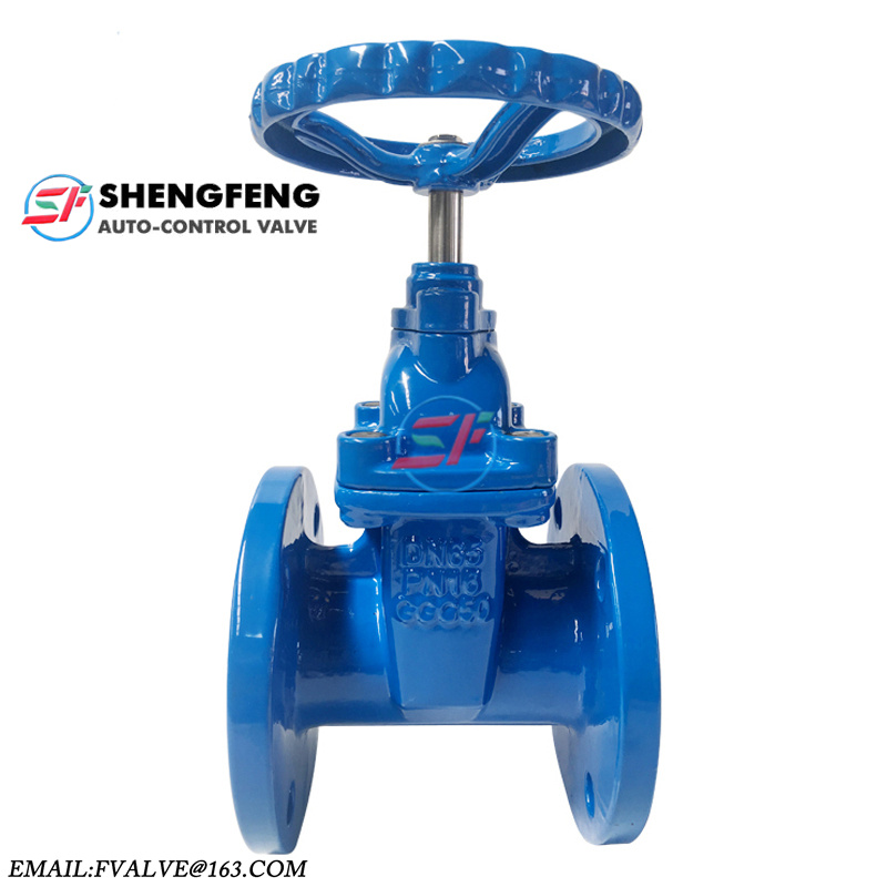 DIN3202 F4 cast iron resilient seated gate valve DN50 DN100