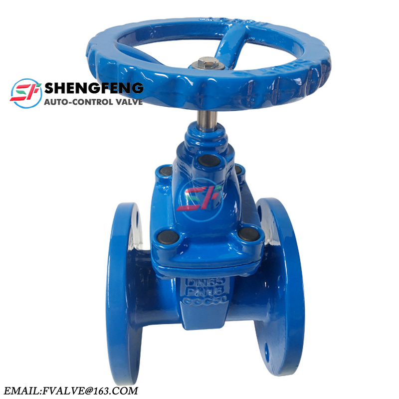DIN3202 F4 cast iron resilient seated gate valve DN50 DN100