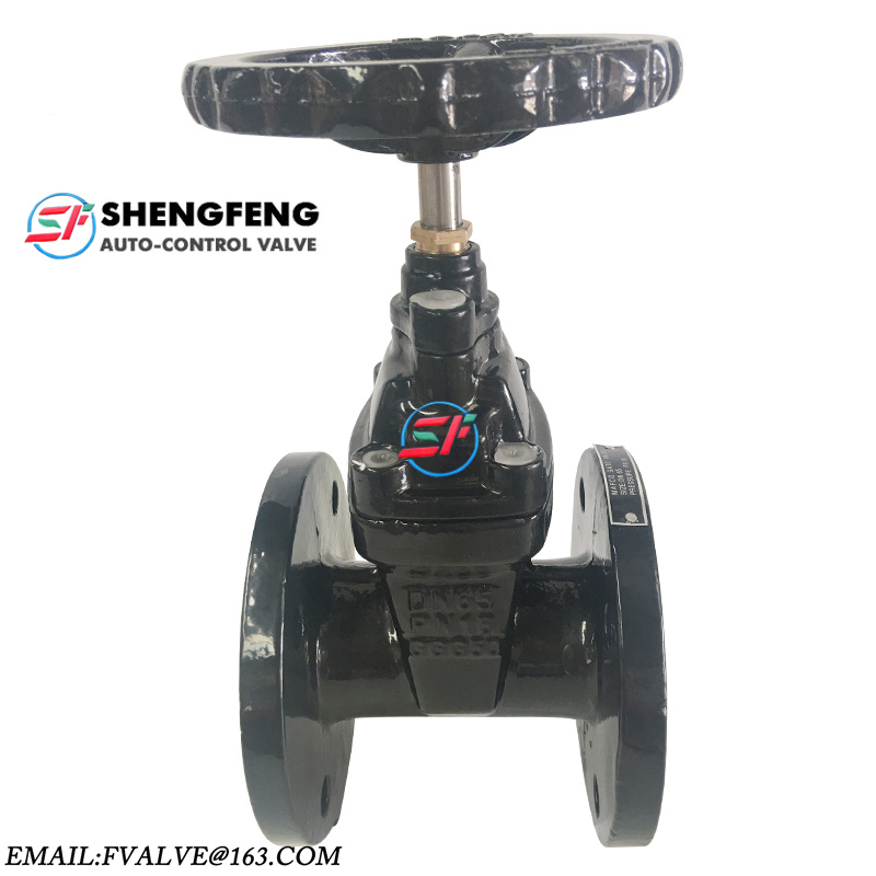 DIN F4 NRS GGG50 16 BAR DN65 Black Ductile iron Resilient seat gate valve