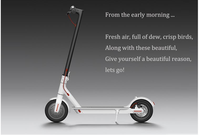 Xiaomi M365 foldable electric scooter