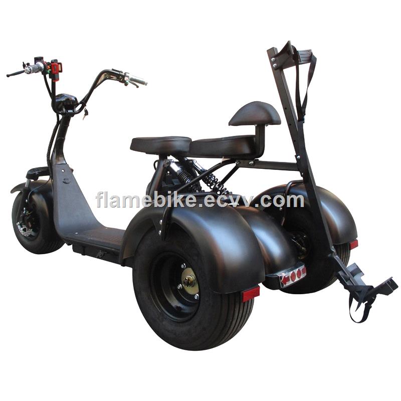 1500W fat tires Electric scooter with 3 Wheels