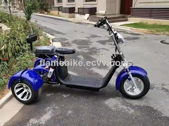 1500W fat tires Electric scooter with 3 Wheels