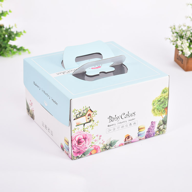 Food Grade Transparent Handlecustomcake packaging boxes with PET windowPET Cake packing BoxesPlastic box