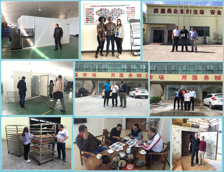 KINKAI industrial use electricity fruit dryer machine