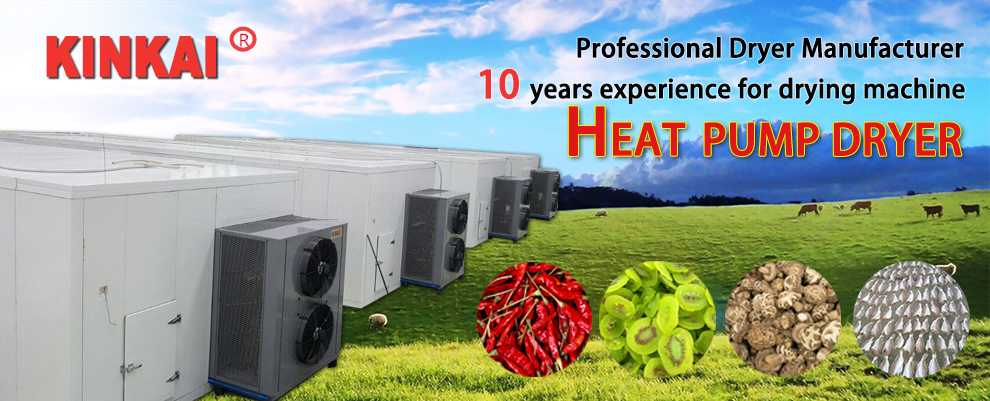 Seafood dehumidifier fishshrimp drying machine