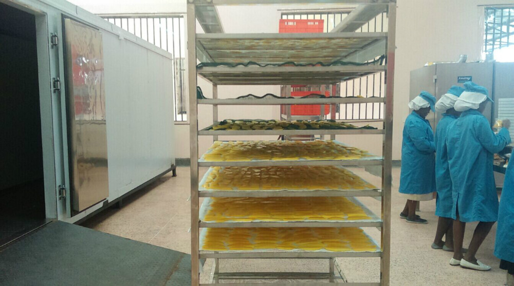 KINKAI industrial use electricity fruit dryer machine